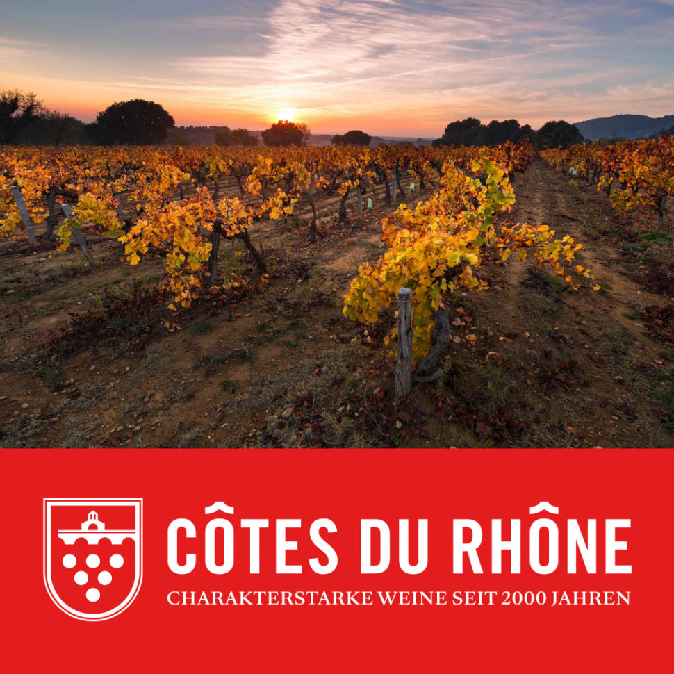 Vorstellung der großen Auswahl an Rhône Weinen in München